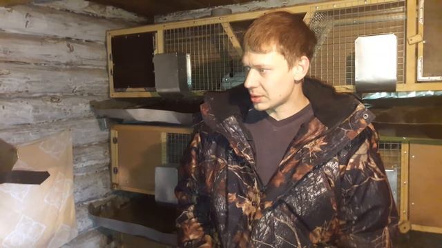 Калифорнийские кролики и ГОРОХ!!!//Вес гибридов//Про кастацию кроликов? смотреть онлайн