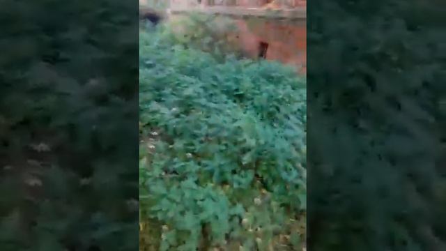 Заброшенный храм часть 5 смотреть онлайн