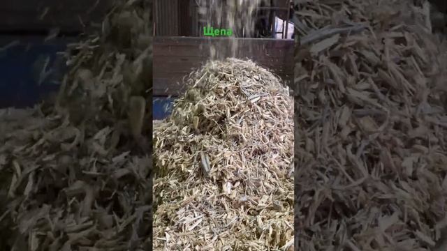 Производство щепы дробим отходы от производства срубов и брусовых домов смотреть онлайн