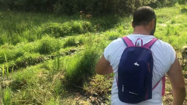 Что-то жуткое произошло на болоте. смотреть онлайн