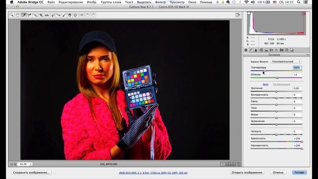 Adobe Bridge. 5 шагов к хорошему цвету. Урок №3. Баланс белого. (Евгений Карташов, Фото-Монстр) смотреть онлайн