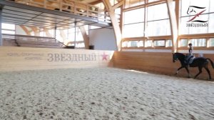 Посадка всадника в выездке. Идеальная выездковая посадка.