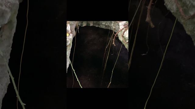 Пещера с летучими мышами