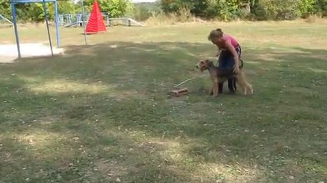 защита Est Etiam Idea Prima Astra (Марго) 18 09 2010 смотреть онлайн