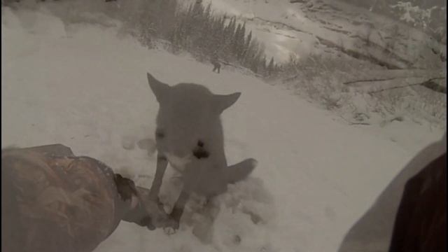 ОХОТА И РЫБАЛКА В КОМИ