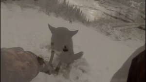 ОХОТА И РЫБАЛКА В КОМИ