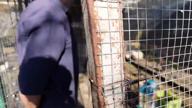 Вообще ничего не хочу делать. Уже с утра началось смотреть онлайн