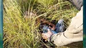 Карина Чикитова: девочка провела 12 дней в таёжном лесу и выжила