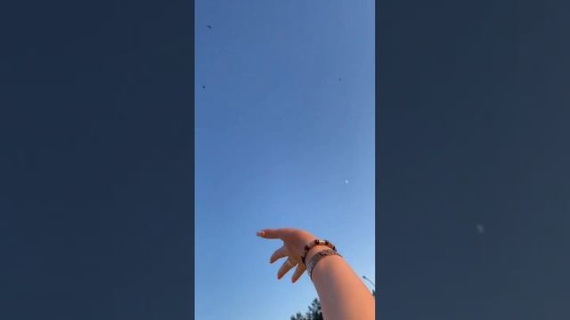 вся сочность лета ? #кемерово #split #лето #yoga #акробатика #растяжка #poledance #фотосессия смотреть онлайн