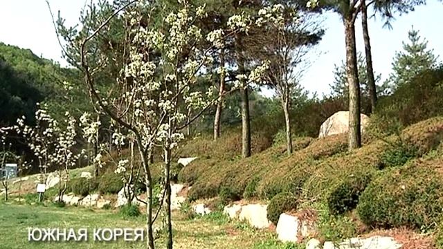 32 ЮЖНАЯ КОРЕЯ смотреть онлайн