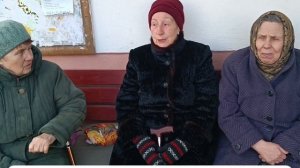 Предлагаем способ избавления дворов от собачьих экскрементов