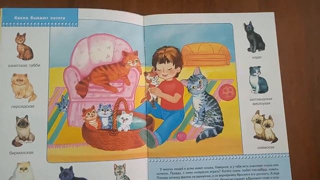 Домашние питомцы. Школа 7 гномов. 2+ смотреть онлайн