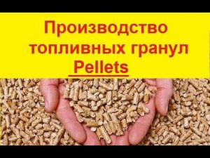 Как производят древесные топливные гранулы  Пеллеты