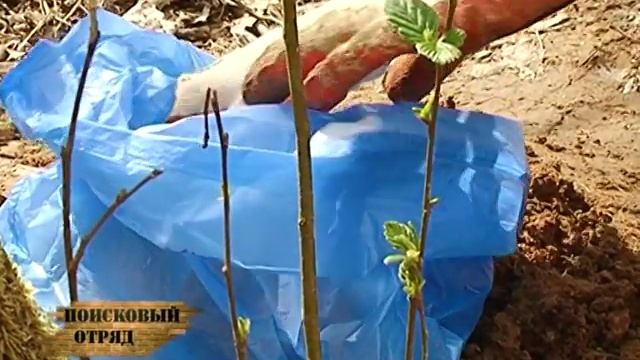 Поисковый отряд 17.06.2014 смотреть онлайн