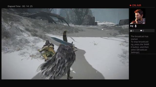 Elden Ring Erdtree Avatar (Consecrated snowfield) RL60 solo смотреть онлайн