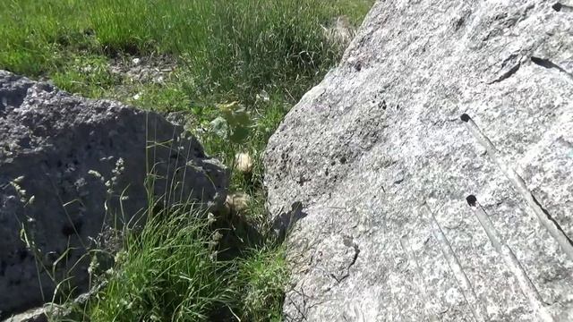 Задворки Питера: «Гнилая Река» смотреть онлайн