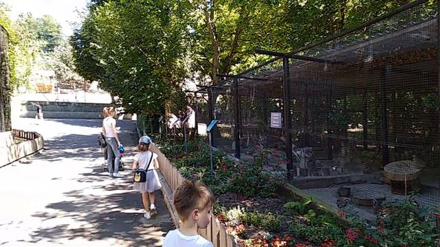 Воскресная прогулка в зоопарк. Кишинев сегодня. Молдова. Chisinau, the Republic of Moldova 2020. смотреть онлайн