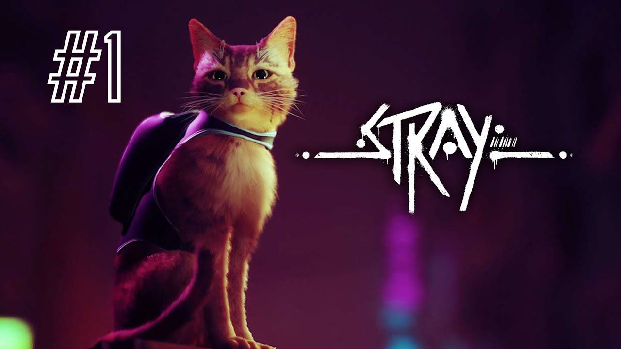 Прохождение Stray #1 ▶ Внутри стен | Мертвый город | Квартира | Трущобы