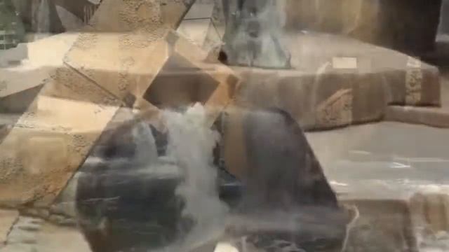 Симпатичные Дикие животные медведи - Милые животные видео сборник смотреть онлайн