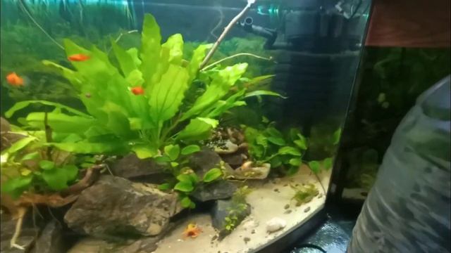 ч 2 Осадок в воде после заморозки Эксперимент с талой водой продолжается смотреть онлайн