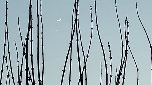 луна и винера, 23.04.24 смотреть онлайн