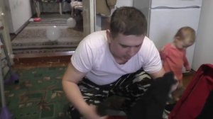 Из США,прислали сумку подарков/КРОССОВКИ Nike