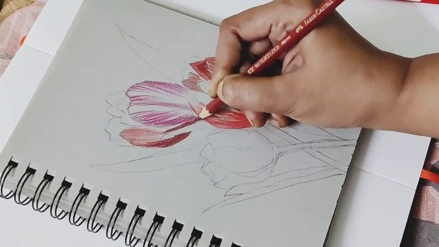 How to draw tulips ?/easy beautiful tulip drawing/draw simple tulip flowers??...#art#colourpencils смотреть онлайн