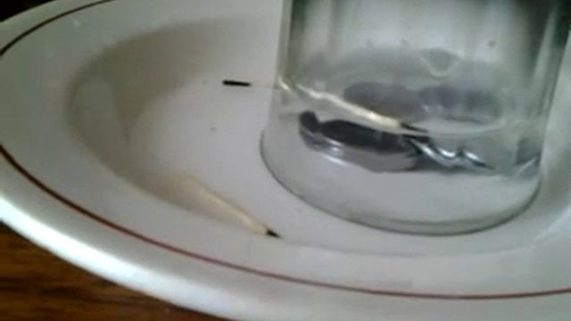 интересный эксперимент смотреть онлайн