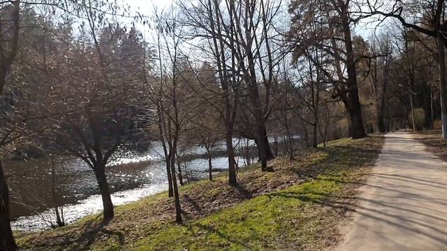 Печерский лесопарк \ Платная медицина радует \ Вайлдберриз подсунули бракованный товар \ Влог смотреть онлайн