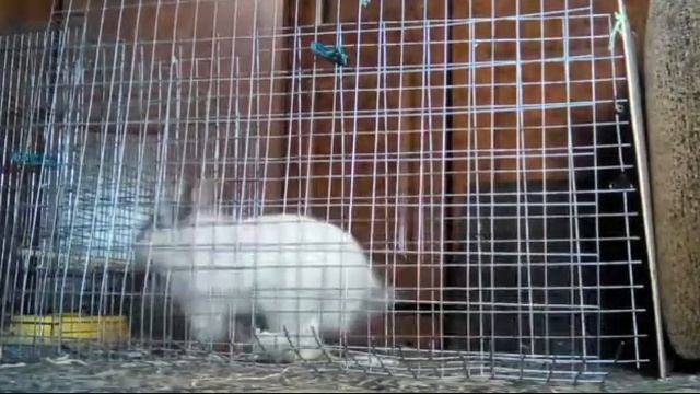 Рубрика Скрытая Камера смотреть онлайн