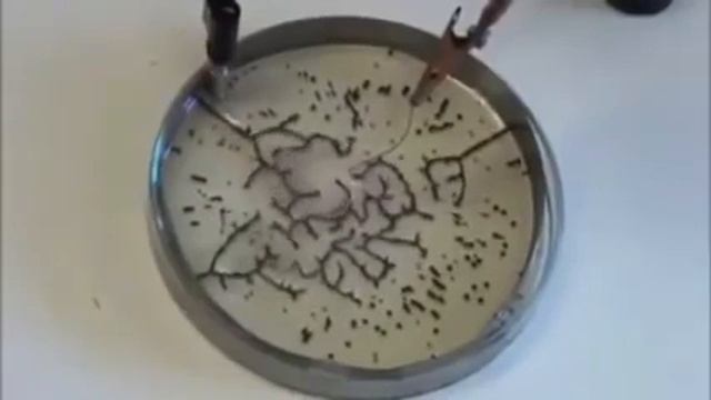 Оксид графена в электромагнитных полях (не каждый поймет к чему это видео) смотреть онлайн