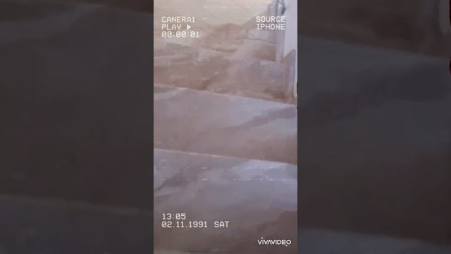 Ступеньки из мрамора #dainoreale. смотреть онлайн