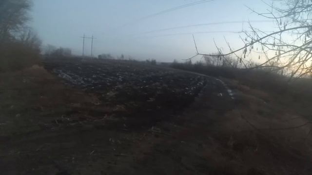 Лис в испуге но сидит на одном месте. Для меня это впервые за 10 лет охоты. смотреть онлайн