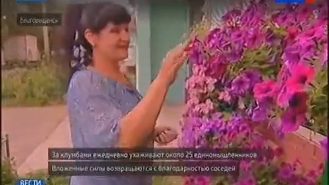 Жители благовещенской пятиэтажки превратили двор в оранжерею смотреть онлайн