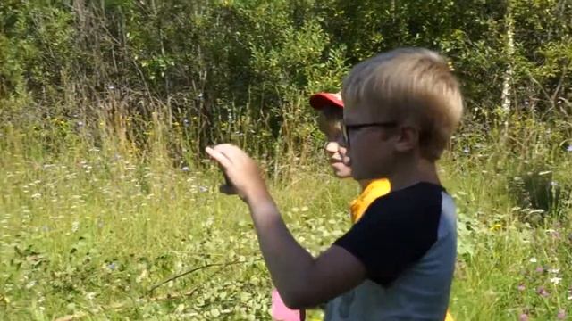 Киров, лето2017,дача, ремонт шалаша и видеоблогеры смотреть онлайн