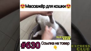 Массажёр для кошек