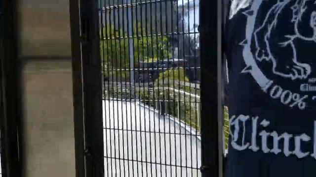 V0004 2 San Diego Zoo смотреть онлайн