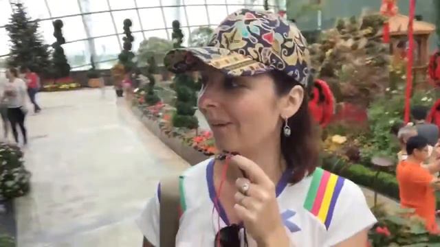 Влог из Сингапура 12: Flower Dome и ночной Super Tree Grove смотреть онлайн