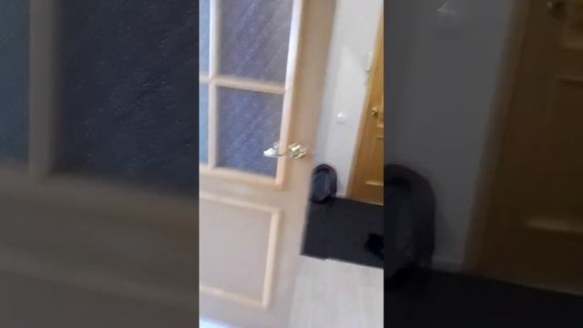 экскурсия по моему дому смотреть онлайн