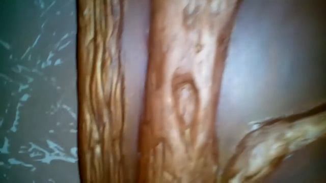 Замок картина гипс смотреть онлайн