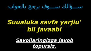 Nasheed: Taweel Al Shawq ? Нашеед: Товил Ал  Шавк ? O'zbekcha tarjimasi bilan  ilk bor?(premyera?)