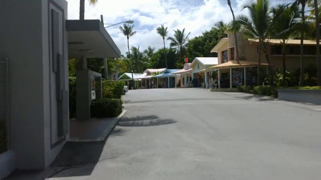 Доминикана-лес пальм возле Riu Palace Bavaro 5* смотреть онлайн