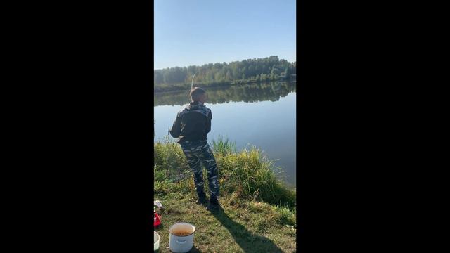 Заринский район. Дикарь. смотреть онлайн