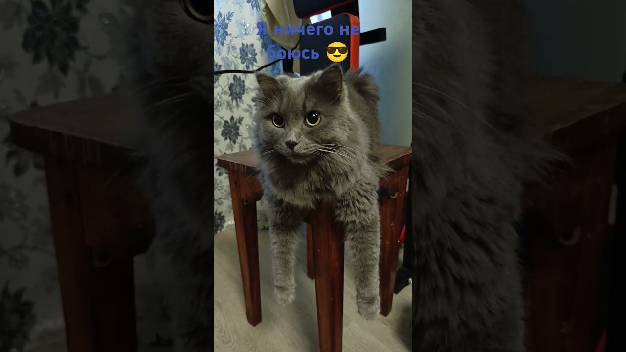 мой друг,я его очень-очень-очень . смотреть онлайн