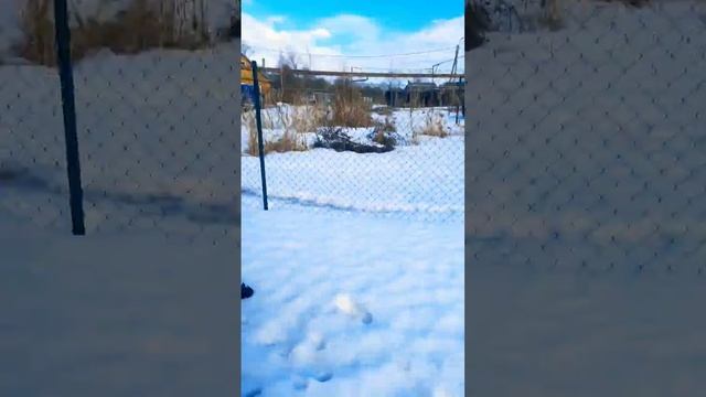 Блин как же эти дети надоели рисует граффити портят стены Опять ты смотреть онлайн