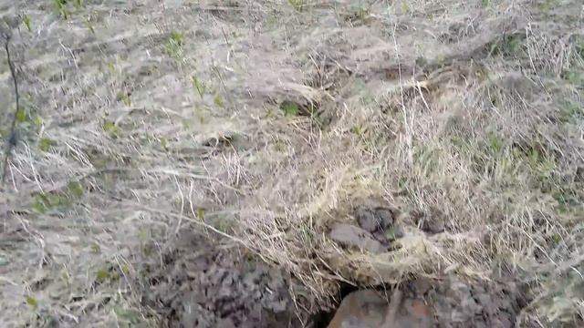 КОП МОНЕТ НА СТАРОЙ ДОРОГЕ К ХУТОРУ - поиск золота. АКА Сигнум 7272 мфт смотреть онлайн