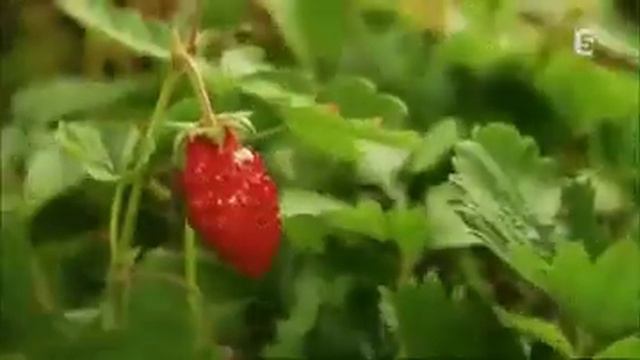 Красивое видео! Вот она весна, во всей своей красе смотреть онлайн