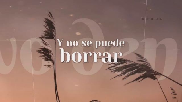 Jose Bello - No Te He Dejado De Amar (Official Lyric Video) | Salsa Romántica смотреть онлайн