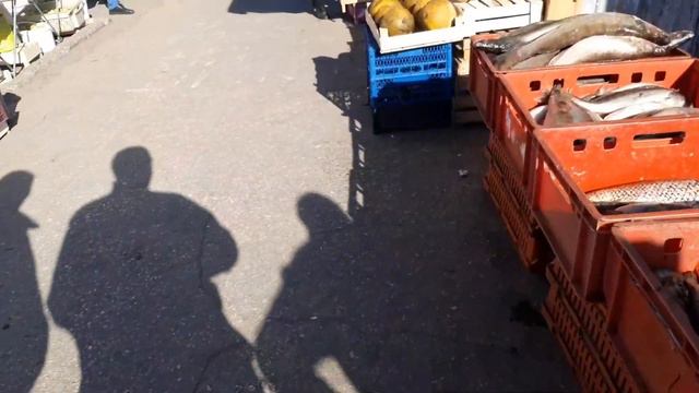 14.10.21 тольятти ул.автостроителей, ул.70 лет октября, ул. топополиная. смотреть онлайн