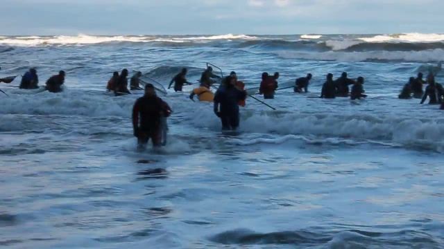 Ловля янтаря на Балтийском море смотреть онлайн